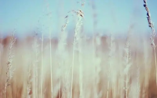 手机号码守财与旺财磁场如何搭配?